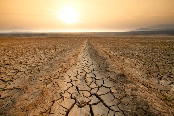 pós-graduação em Agronomia